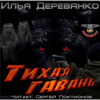 Аудиокнига Тихая гавань Илья Деревянко